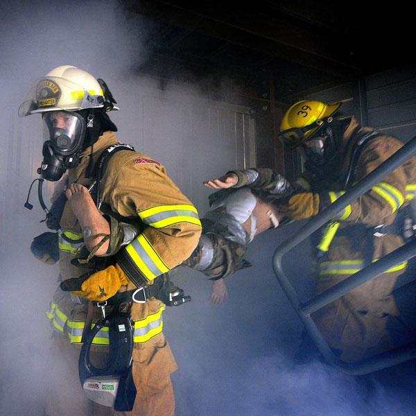 Streamline customized models